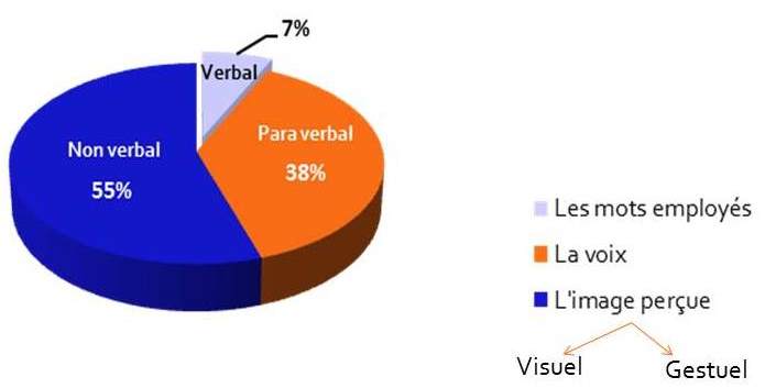 Graphique : Répartition des différentes manières de communication chez l'homme. 